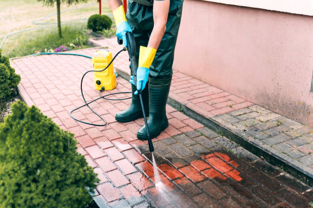 Best Dumpster Area Cleaning  in Stone Ridge, NY